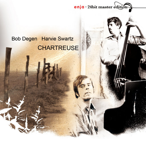 亚洲av无码一区二区三区观看欧
